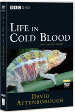 Watch Life in Cold Blood 123movies