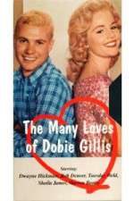 Watch The Many Loves of Dobie Gillis 123movies