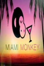 Watch Miami Monkey 123movies