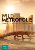 Watch Wild Metropolis 123movies