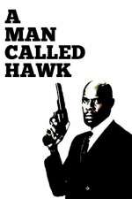 Watch A Man Called Hawk 123movies