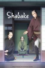 Watch Shabake 123movies