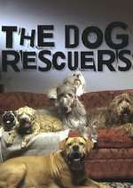 Watch The Dog Rescuers with Alan Davies 123movies