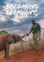 becoming elephant: the orphans of reteti tv poster