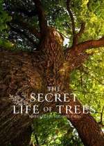 Watch The Secret Life of Trees 123movies