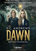 Watch V.C. Andrews' Dawn 123movies