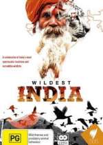 Watch Wildest India 123movies