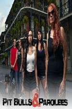 Watch Pit Bulls and Parolees 123movies