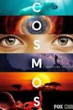 Watch Cosmos A SpaceTime Odyssey 123movies