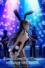 Watch Rascal Does Not Dream of Bunny Girl Senpai 123movies