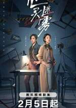 Watch Lies Never Lie 123movies