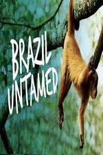 Watch Brazil Untamed 123movies