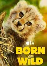 born to be wild season 1 episode 1 tv poster