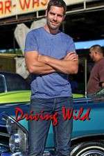 Watch Driving Wild 123movies