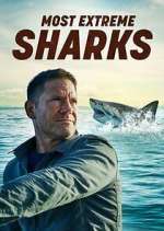 Watch Most Extreme Sharks 123movies