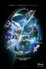Watch Super/Natural 123movies