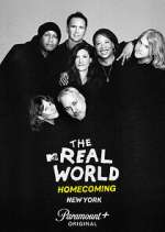 Watch The Real World Homecoming 123movies