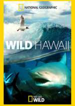 Watch Wild Hawaii 123movies
