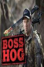 Watch Boss Hog 123movies
