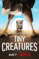 Watch Tiny Creatures 123movies