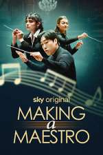 making a maestro tv poster