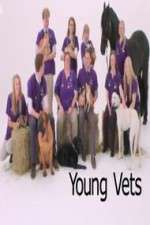 Watch Young Vets 123movies
