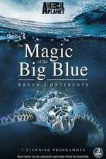 Watch The Magic of the Big Blue 123movies