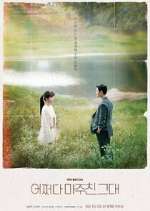 Watch Met You By Chance 123movies