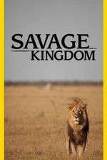 Watch Savage Kingdom 123movies
