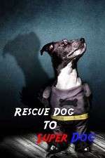 Watch Rescue Dog to Super Dog 123movies