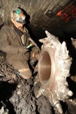 Watch Coal 123movies