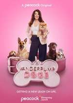 Watch Vanderpump Dogs 123movies