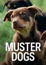 Watch Muster Dogs 123movies