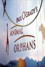 Watch Paul O'Grady's Animal Orphans 123movies