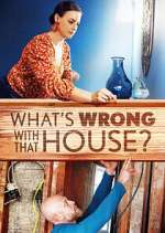 Watch What's Wrong With That House? 123movies