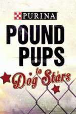 Watch Purina Pound Pups To Dog Stars 123movies