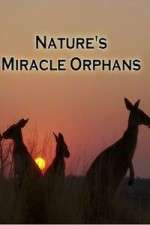 Watch Nature's Miracle Orphans 123movies
