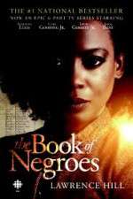 Watch The Book of Negroes 123movies