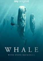 Watch Whale with Steve Backshall 123movies