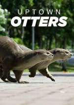 Watch Uptown Otters 123movies