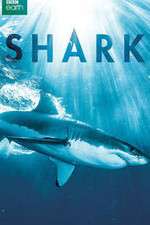 Watch Shark 123movies