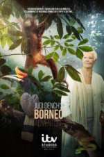 Watch Judi Dench\'s Wild Borneo Adventure 123movies