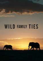 Watch Wild Family Ties 123movies