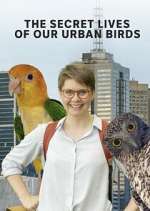 Watch The Secret Lives of Our Urban Birds 123movies