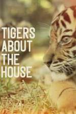 Watch Tigers About the House 123movies