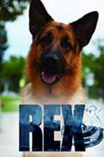 Watch Hudson & Rex 123movies
