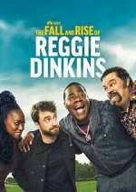 the fall and rise of reggie dinkins tv poster
