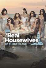 the real housewives of rhode island season 1 episode 4 tv poster
