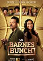 Watch The Barnes Bunch 123movies
