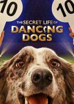 Watch The Secret Life of Dancing Dogs 123movies